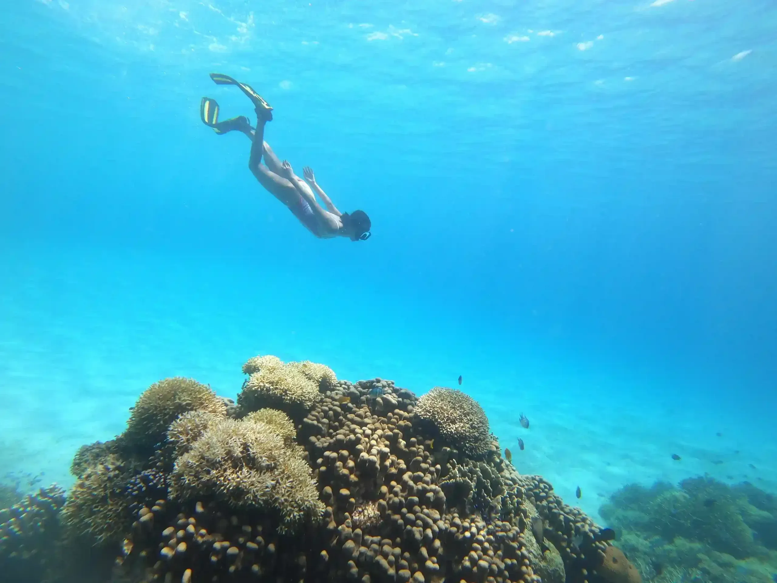 Snorkeling a Siaba-szigeten
