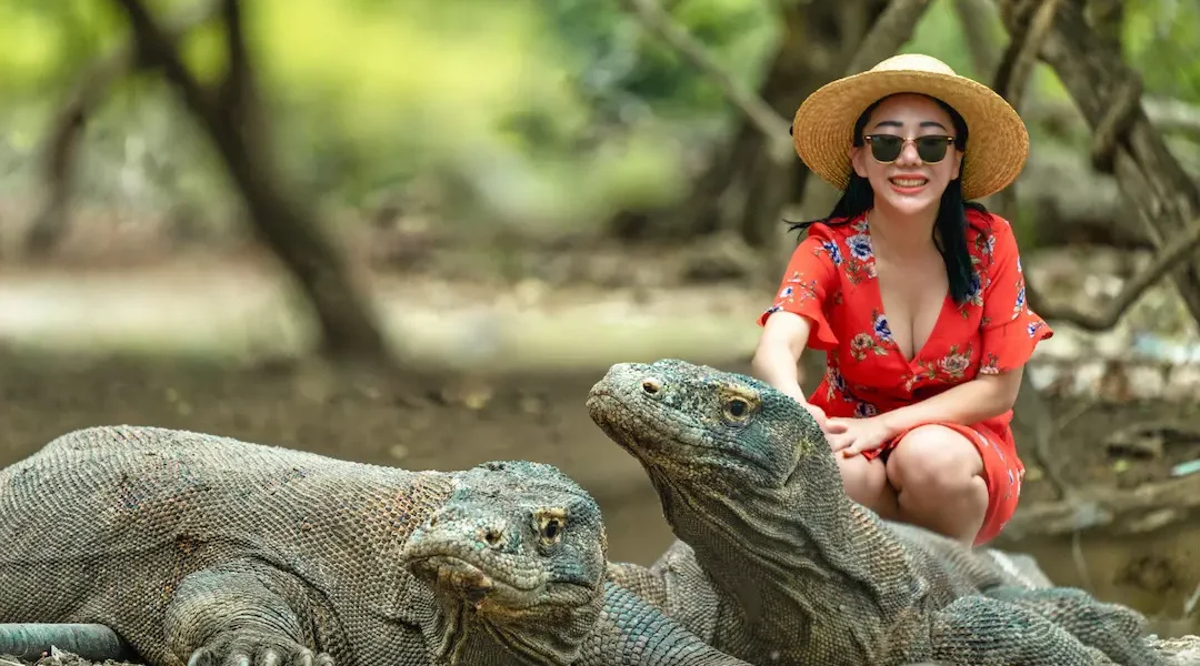Komodowaran Nationalpark – KomodoLuxury