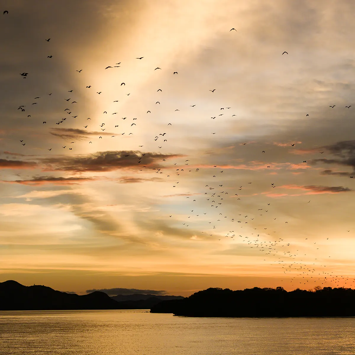 Kalong Island in Labuan Bajo