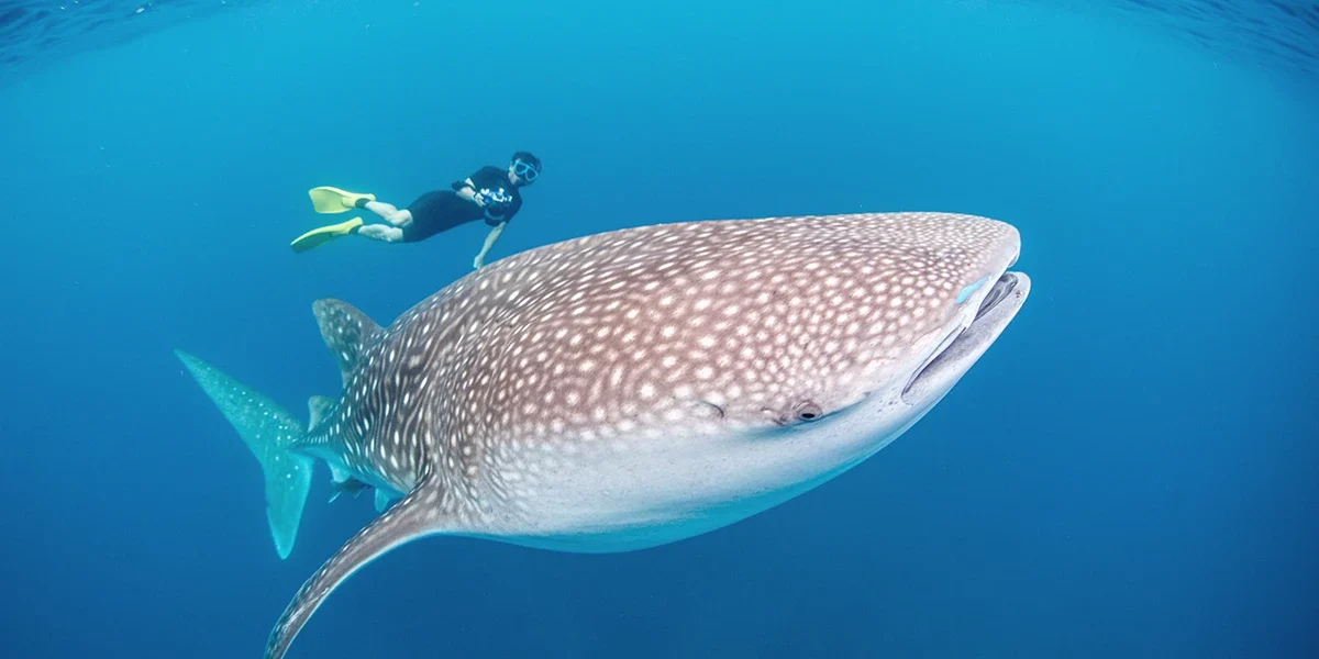 Berühmte Natursehenswürdigkeiten in Indonesien