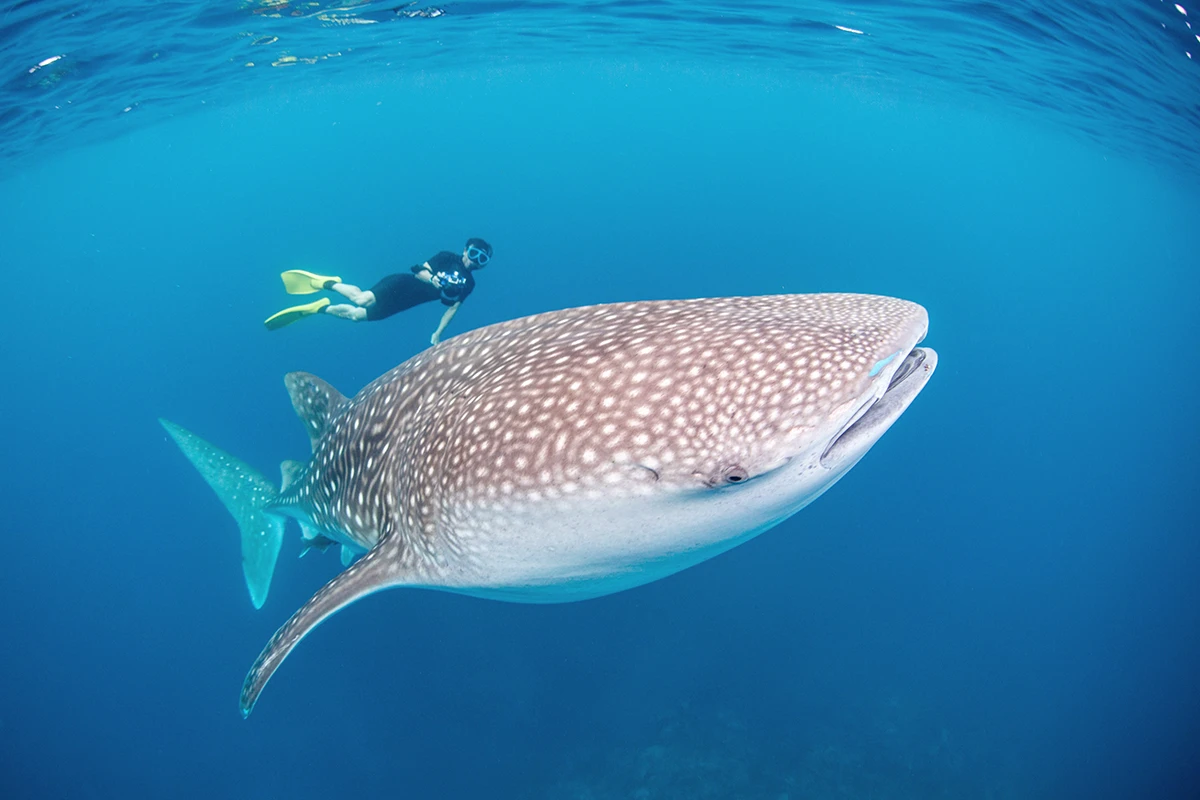 Berühmte Natursehenswürdigkeiten in Indonesien