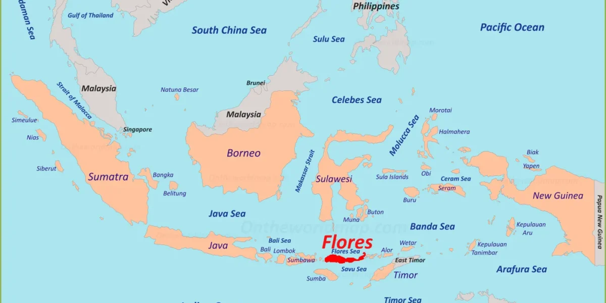 Reiseführer für flores