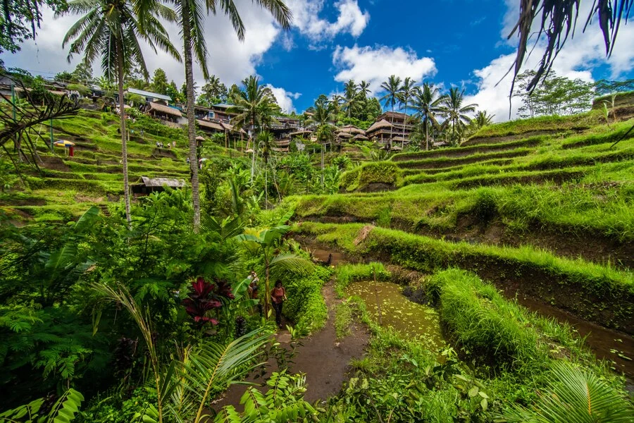 Indonesia Travel Itinerary 1 Week: Recommendation for Travelers