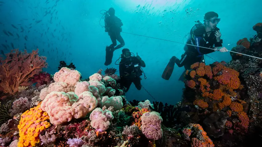 Raja Ampat