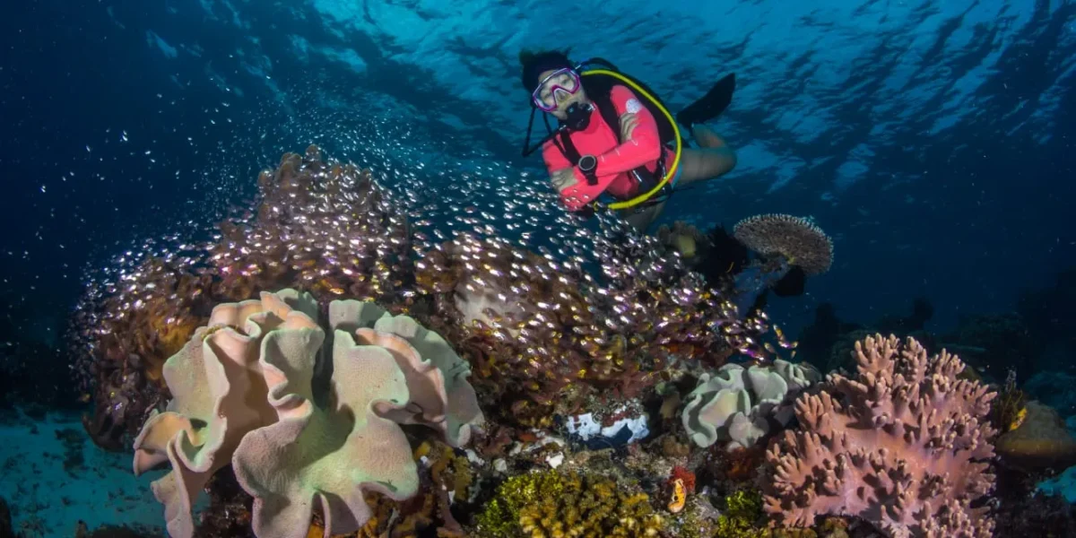 Unterwasserwelt von Raja Ampat – KomodoLuxury