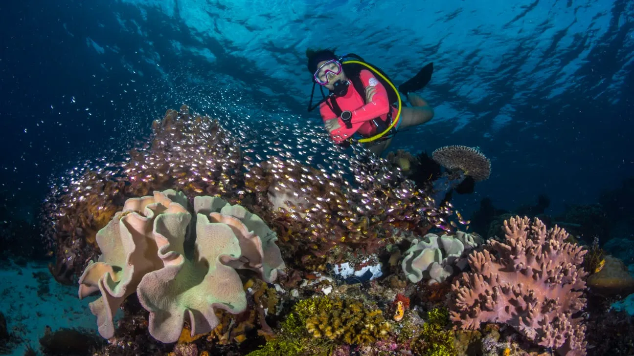 O mundo subaquático de Raja Ampat - KomodoLuxury