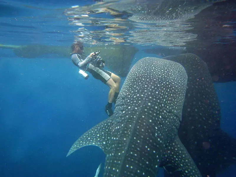 Isla Mansinam en la bahía de Cendrawasih | buceo organizada por Komodo Luxury