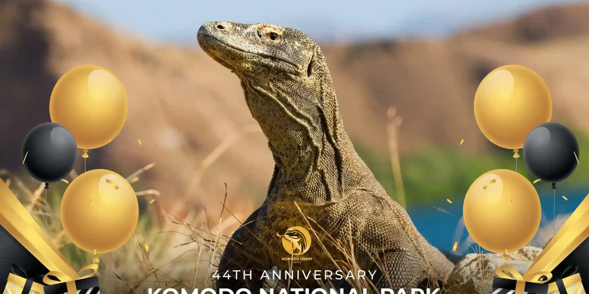 Komodo Nationalpark Jahrestag Komodo Nationalpark
