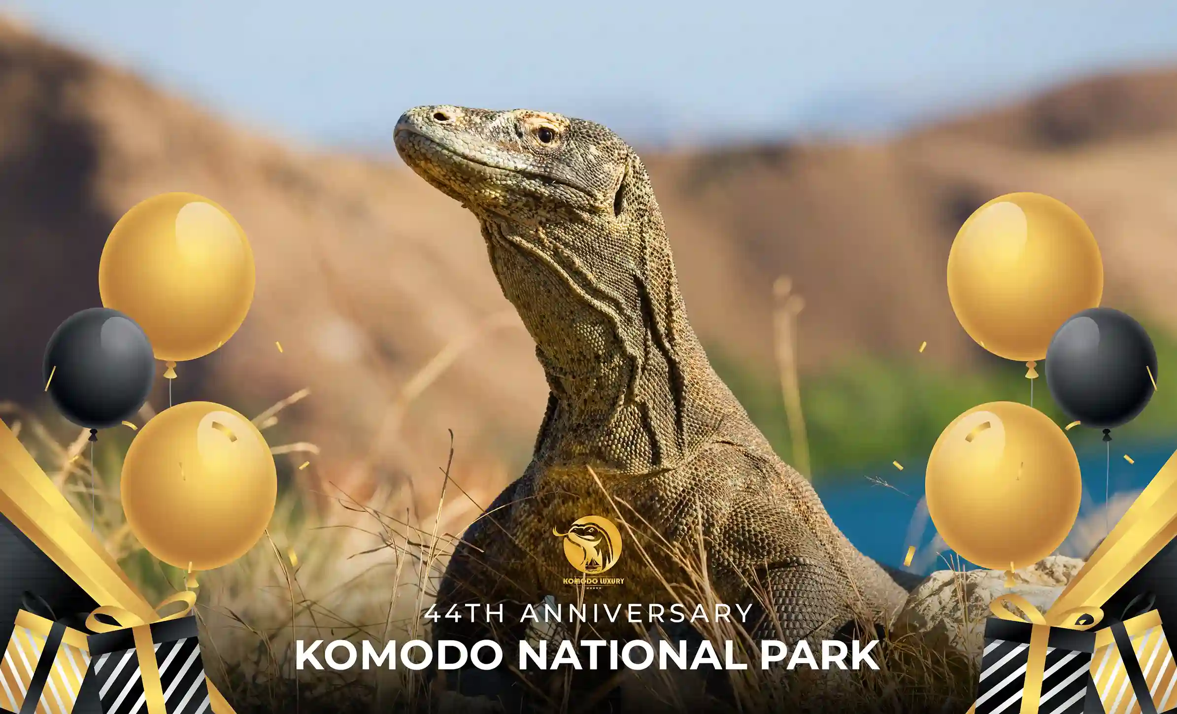 Komodo Nationalpark Jahrestag Komodo Nationalpark
