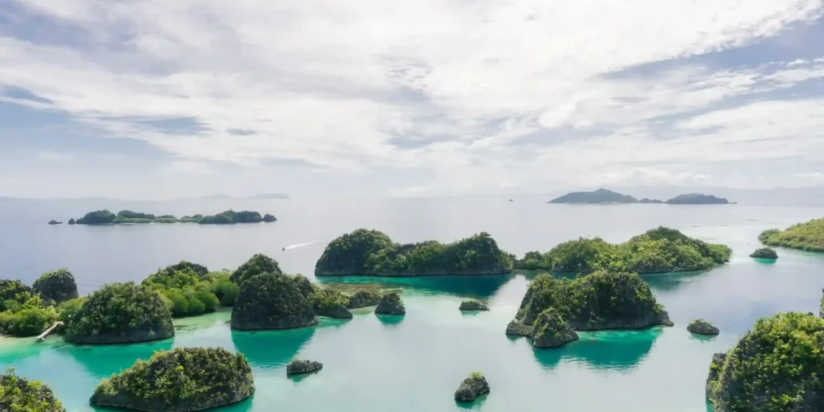 Insel Piaynemo, Raja Ampat