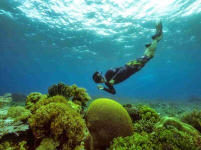 Snorkling