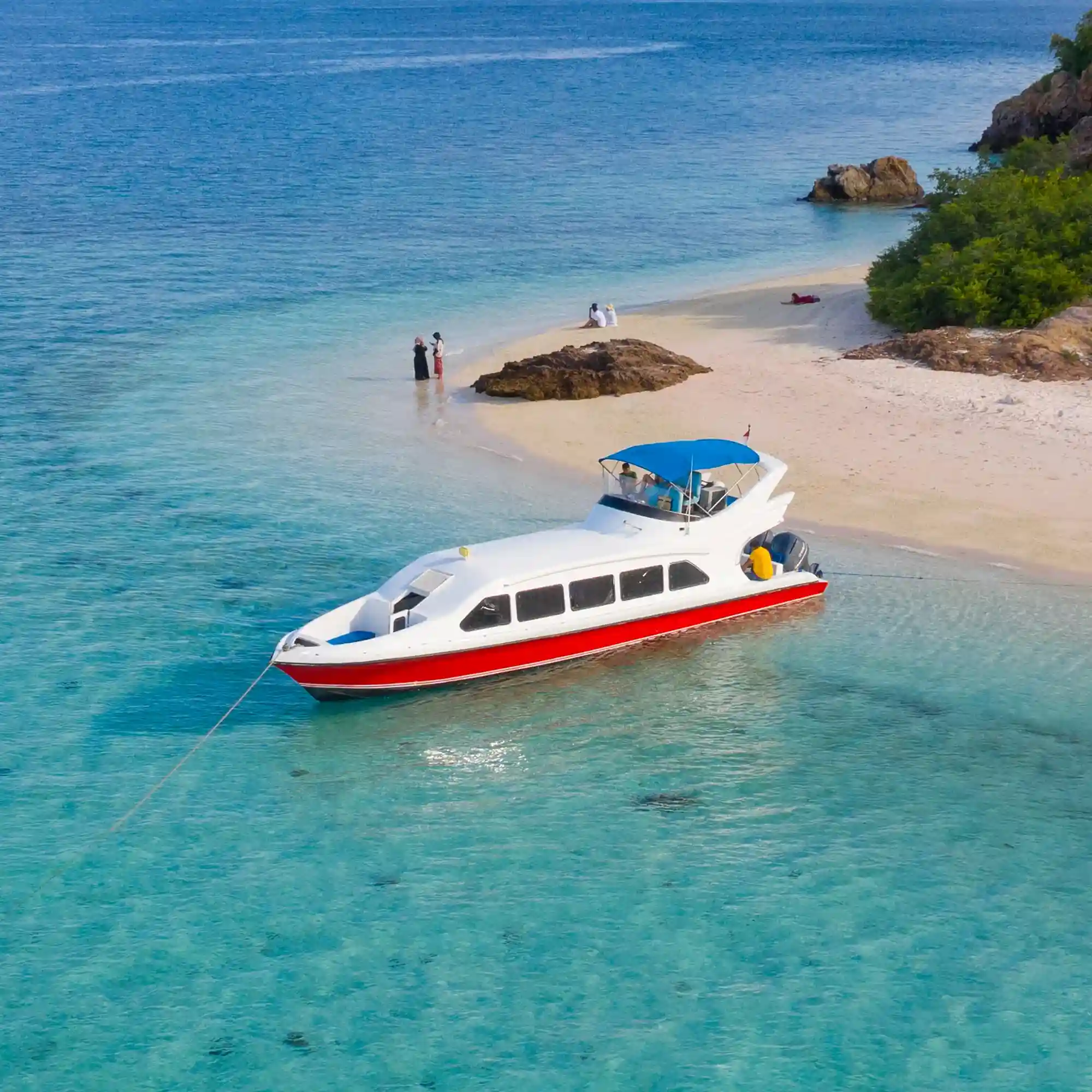 D1 Speedboat