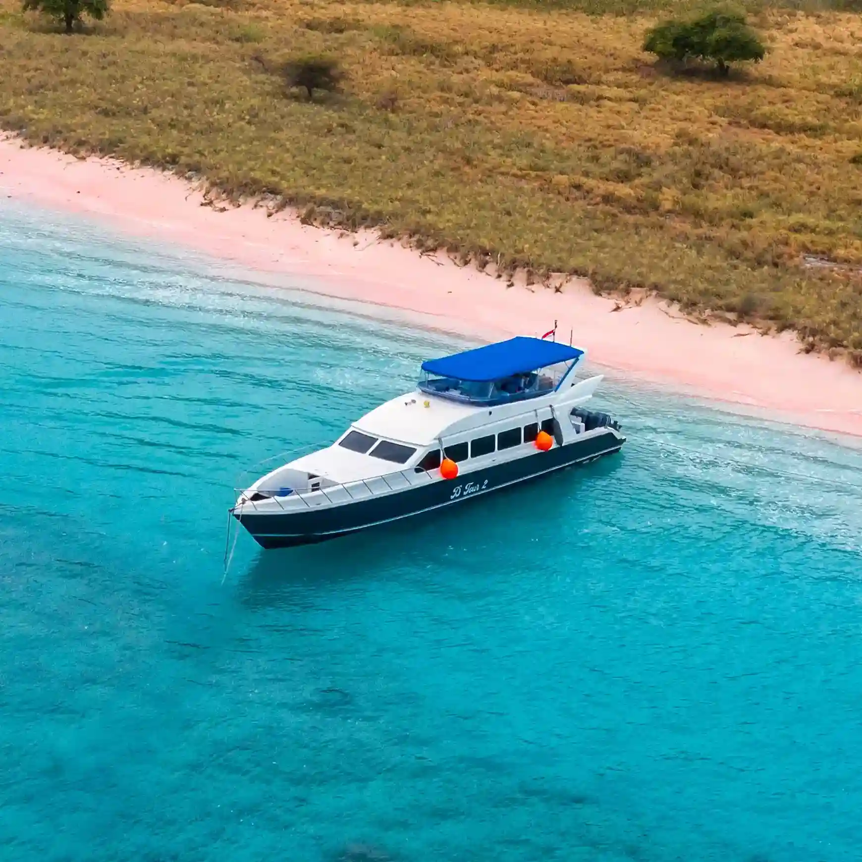 D2 Speedboat