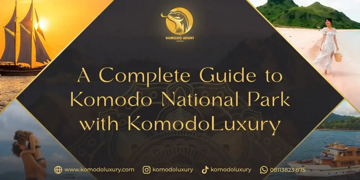 الدليل الشامل حديقة كومودو الوطنية Komodo Luxury