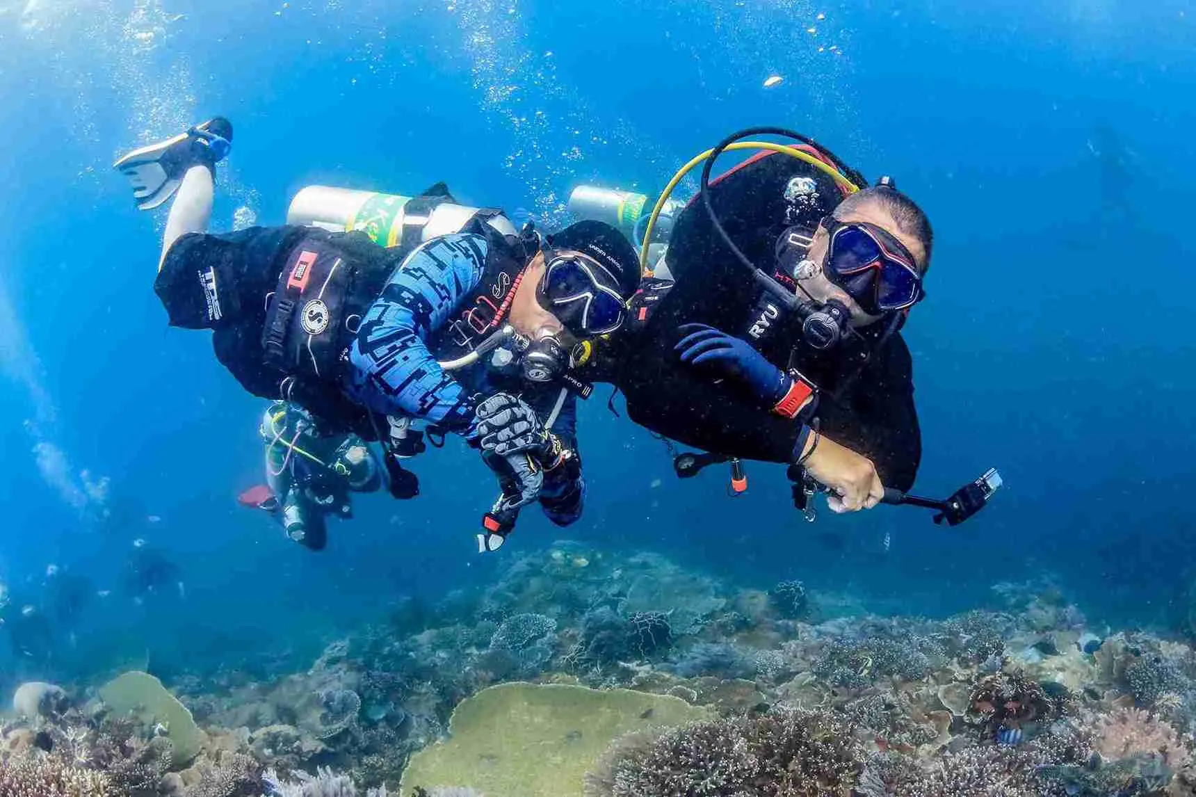 PADI Dive Experiences | Komodo Luxury