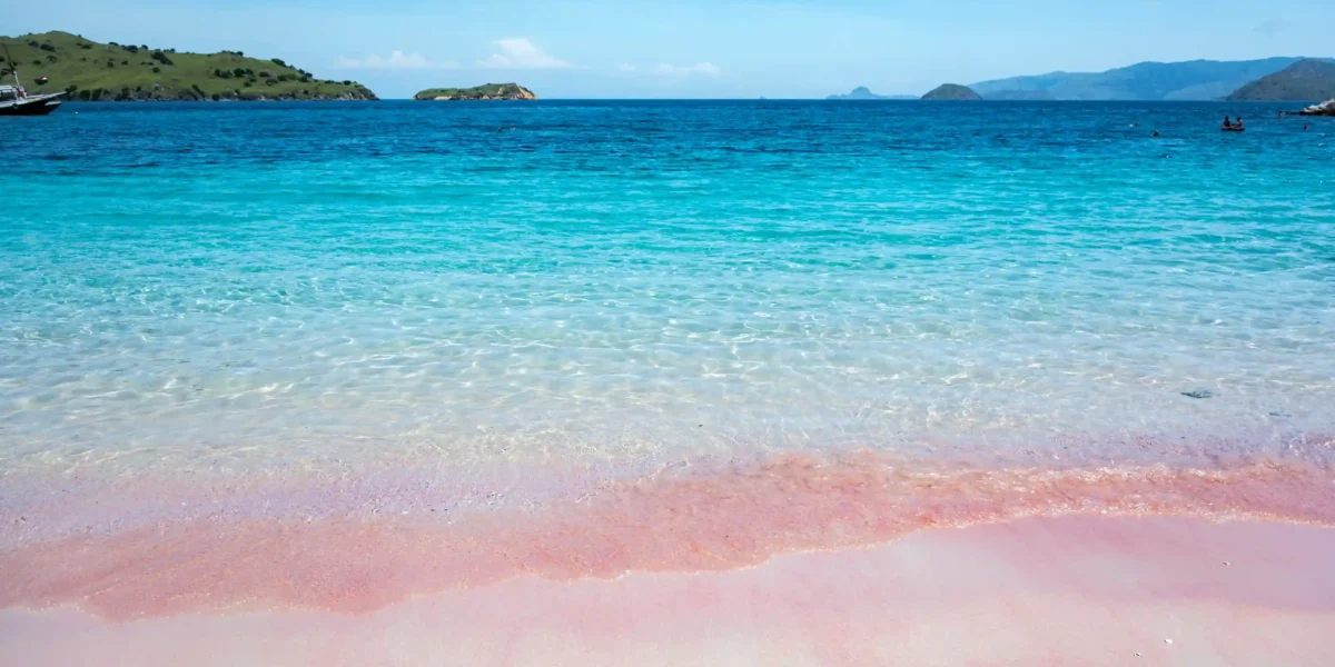 Tropischer Strand Pink Beach Komodo Nationalpark