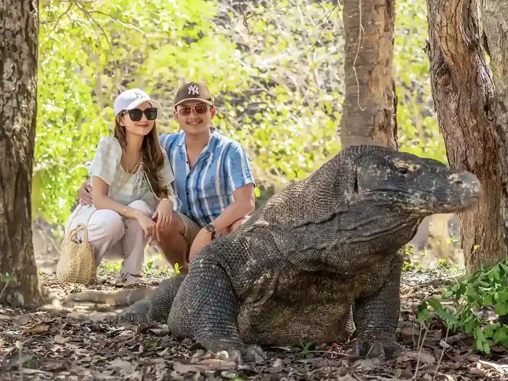 Tourists with Komodo