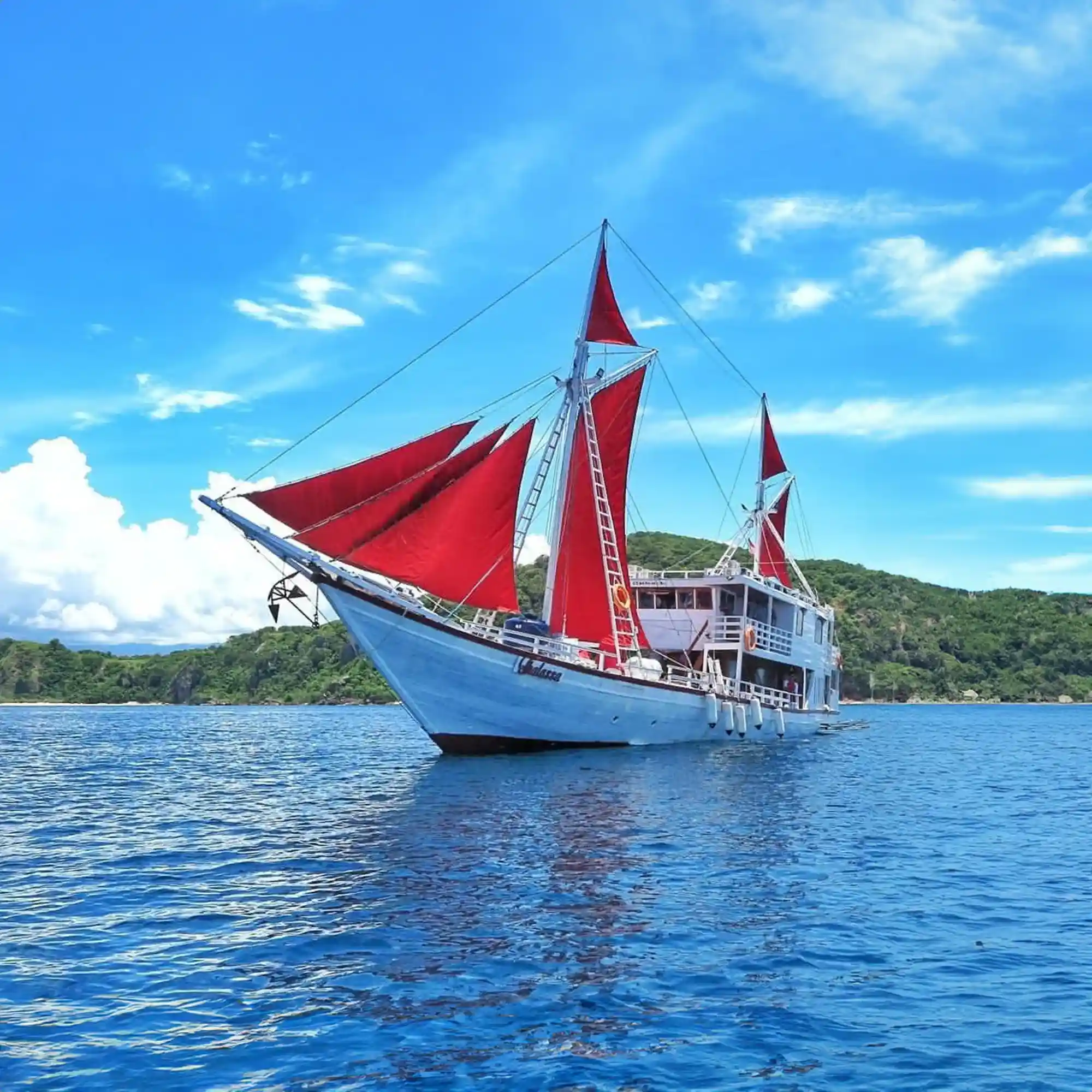 Thalassa 1