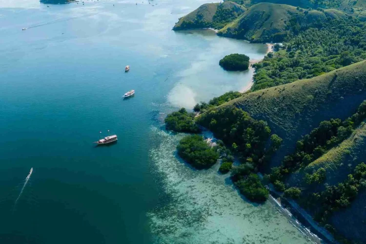 Manjarite Island