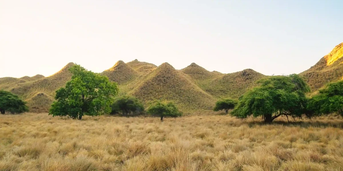 Tropisches Paradies im Komodo Nationalpark Lawa