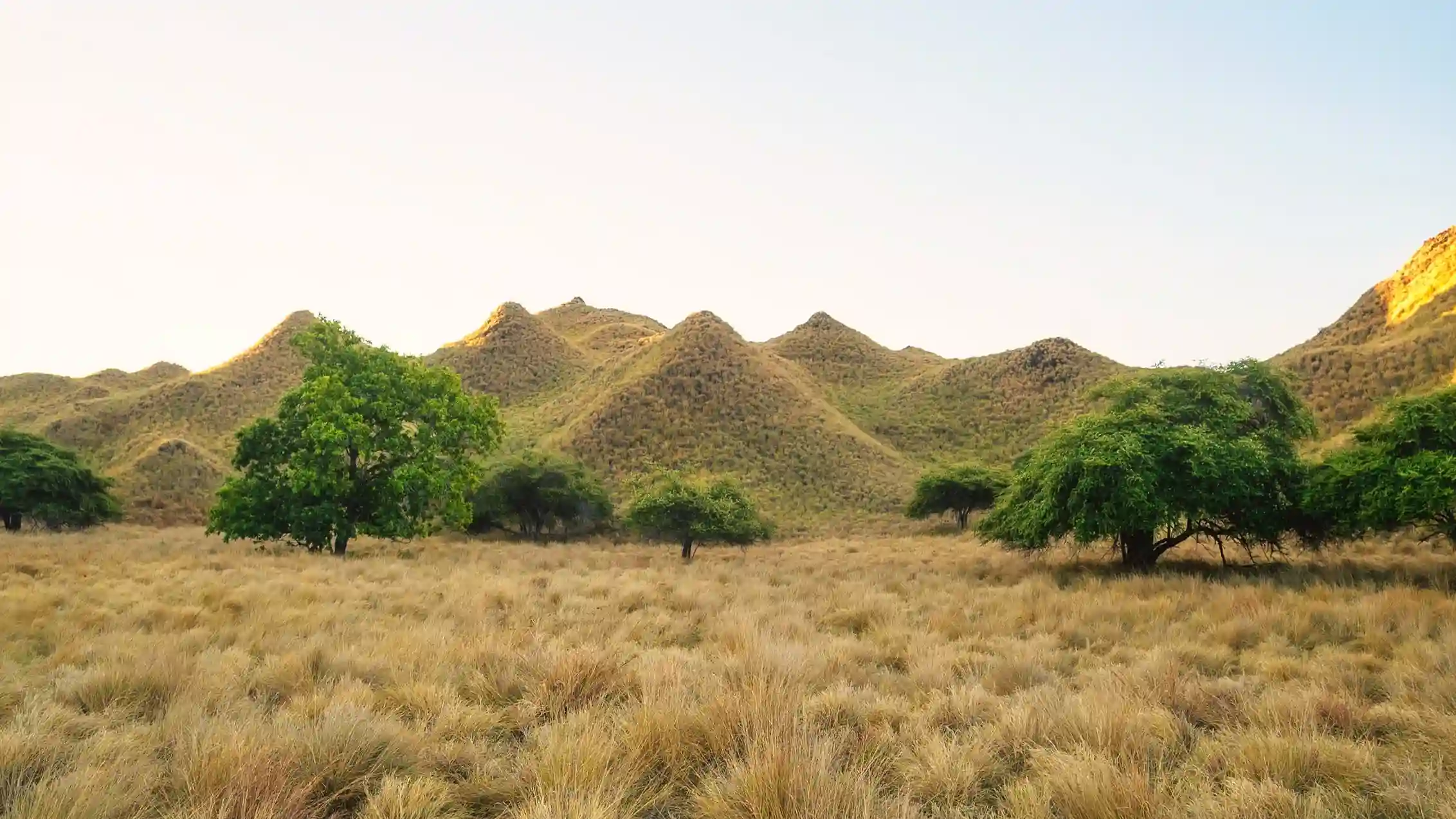 Tropisches Paradies im Komodo Nationalpark Lawa