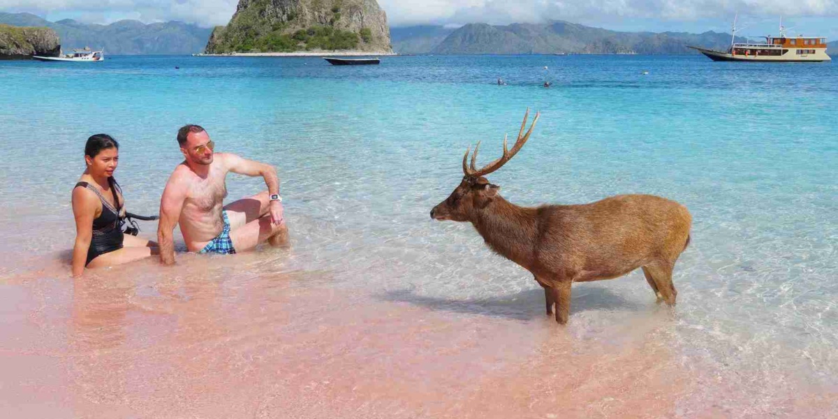 Wunderschön Pink Beach, Labuan Bajo