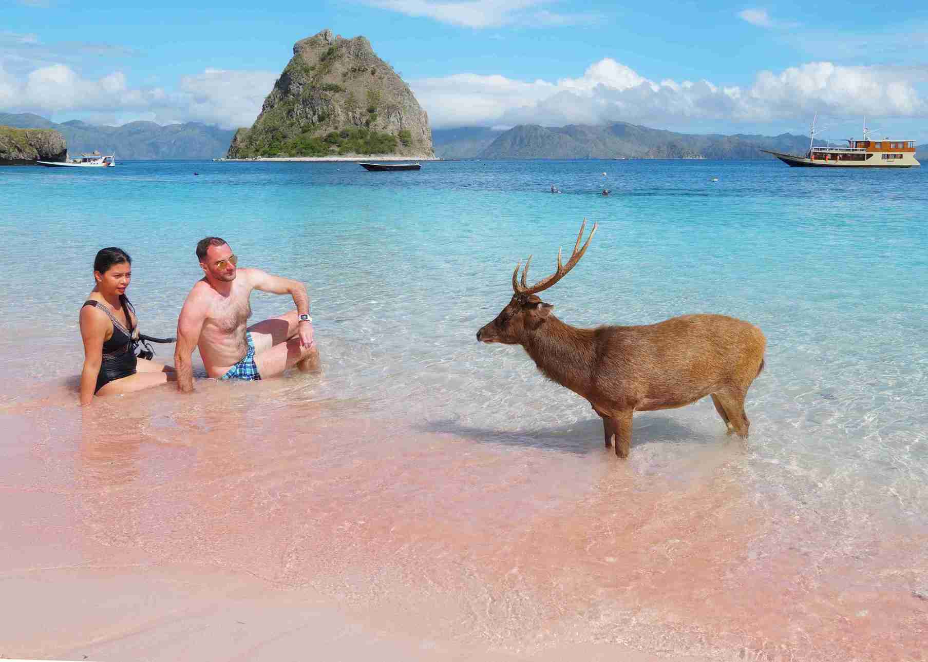Wunderschön Pink Beach, Labuan Bajo