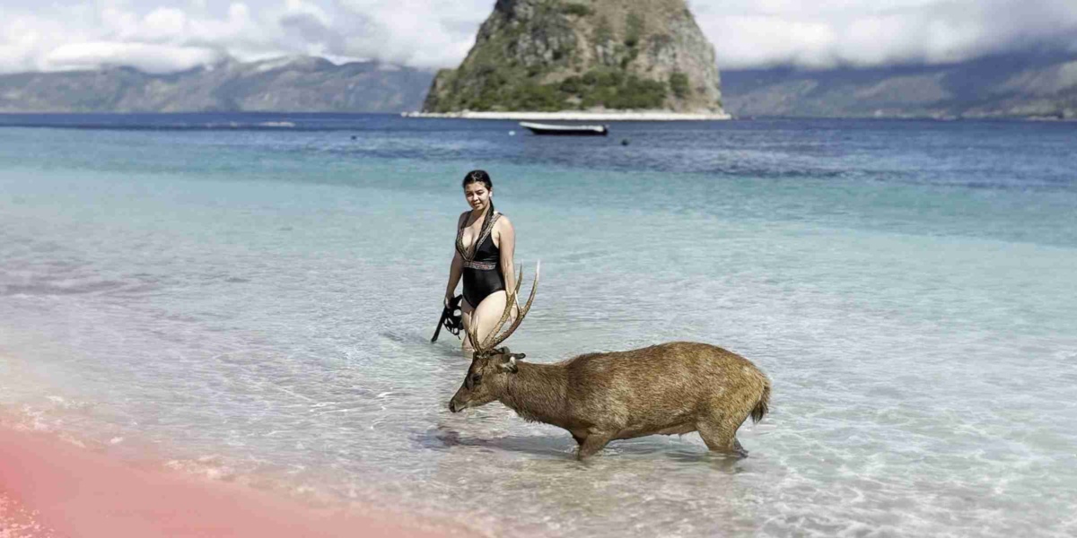 Ein Gast von KomodoLuxury mit einem Reh am Pink Beach