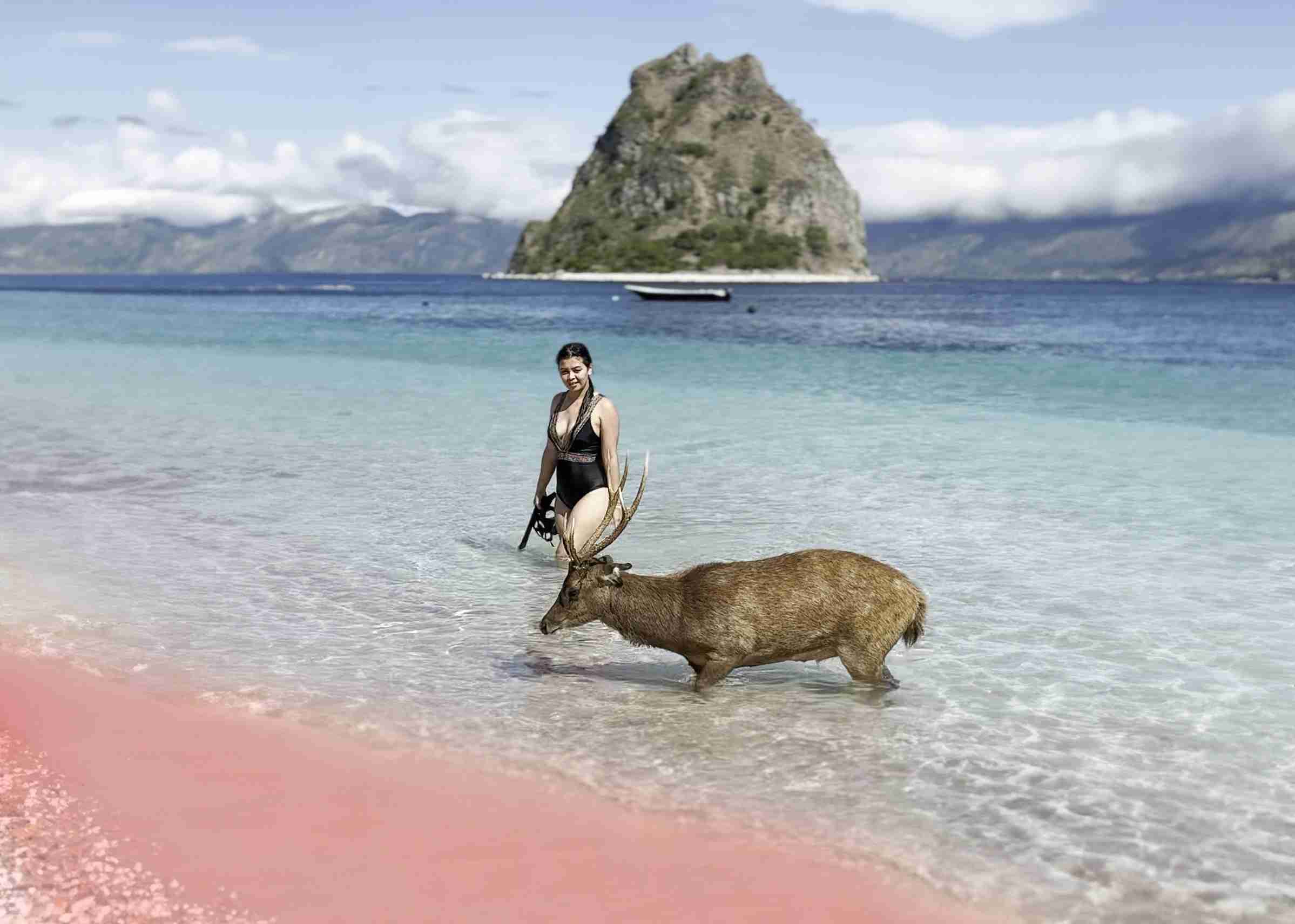Ein Gast von KomodoLuxury mit einem Reh am Pink Beach