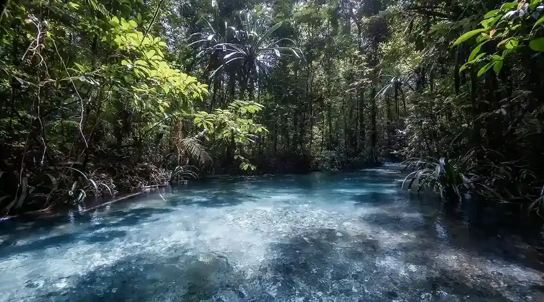 Kali Biru, Raja Ampat – KomodoLuxury