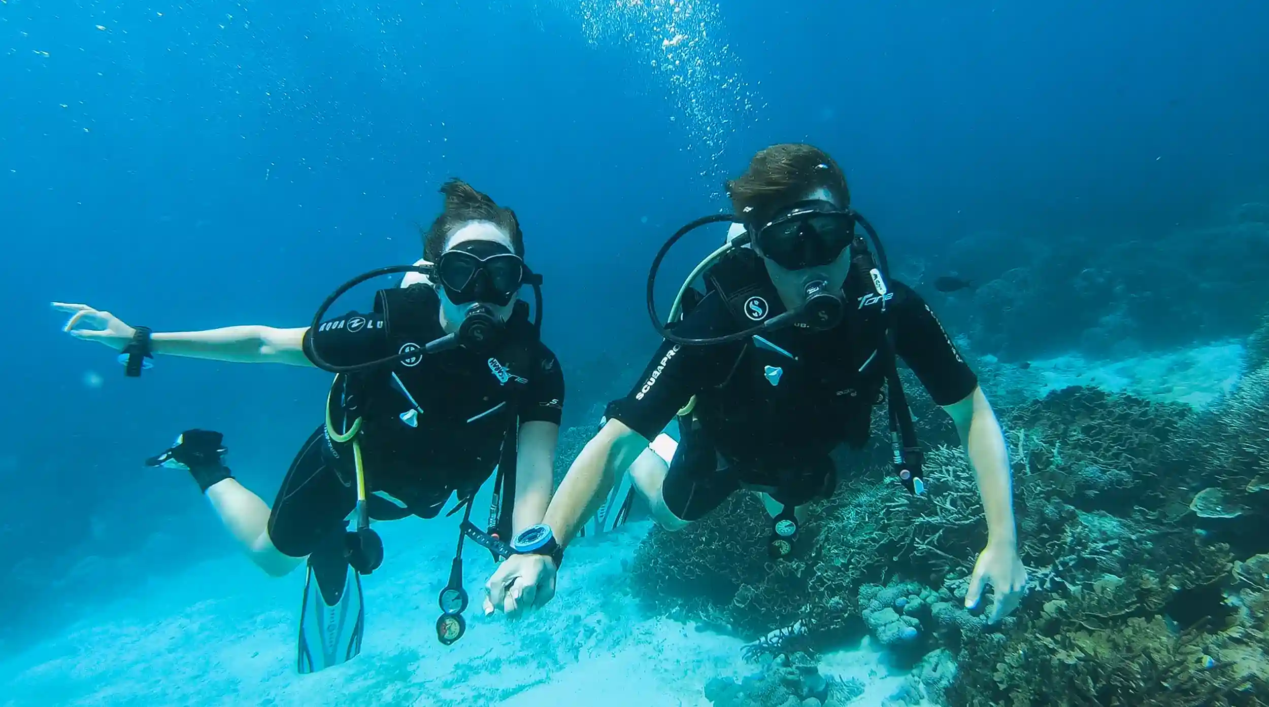 Komodo Diving