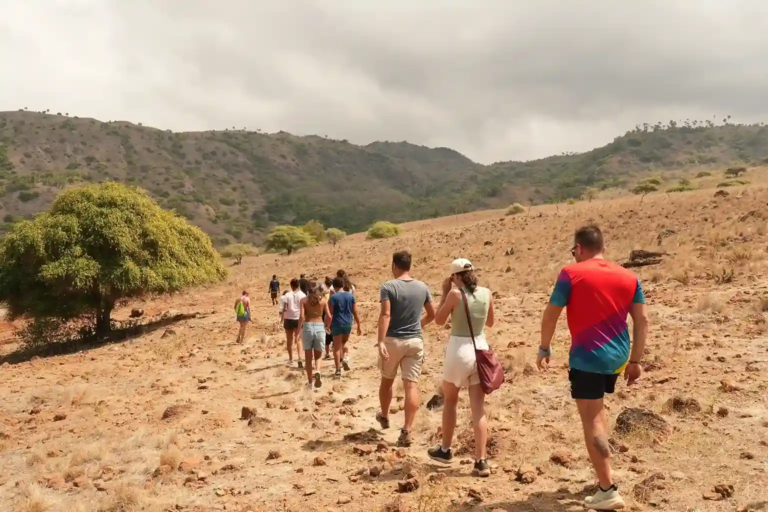 Komodo Trekking