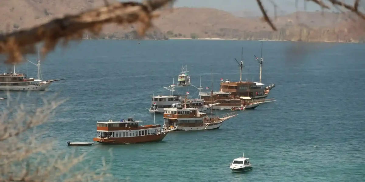 Drohnenaufnahme der Insel Komodo | Komodo Luxury