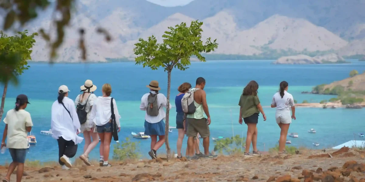 Insel Komodo | Komodo Nationalpark Komodo Luxury