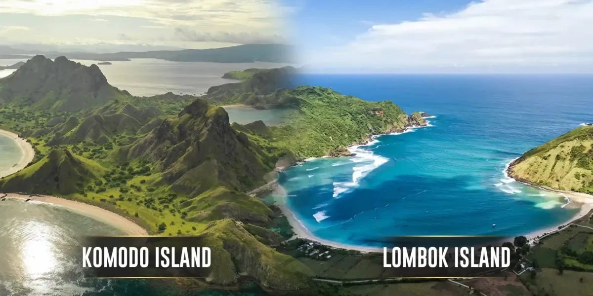 Komodo-Insel vs. Lombok Komodo Luxury