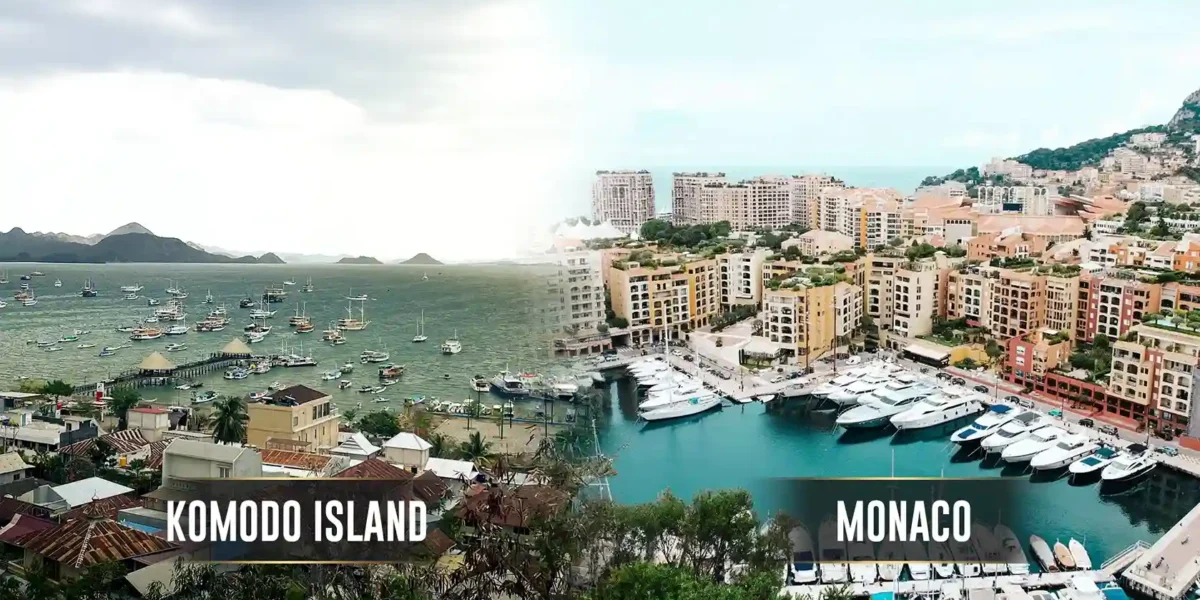 Komodo-Insel vs. Monaco | Komodo Luxury