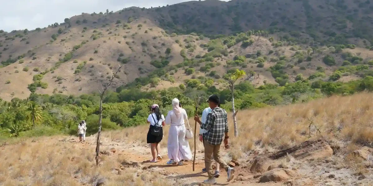 Wandern auf Rinca | Luxus-Komodo-Insel-Tour | Komodo Tour Komodo Luxury