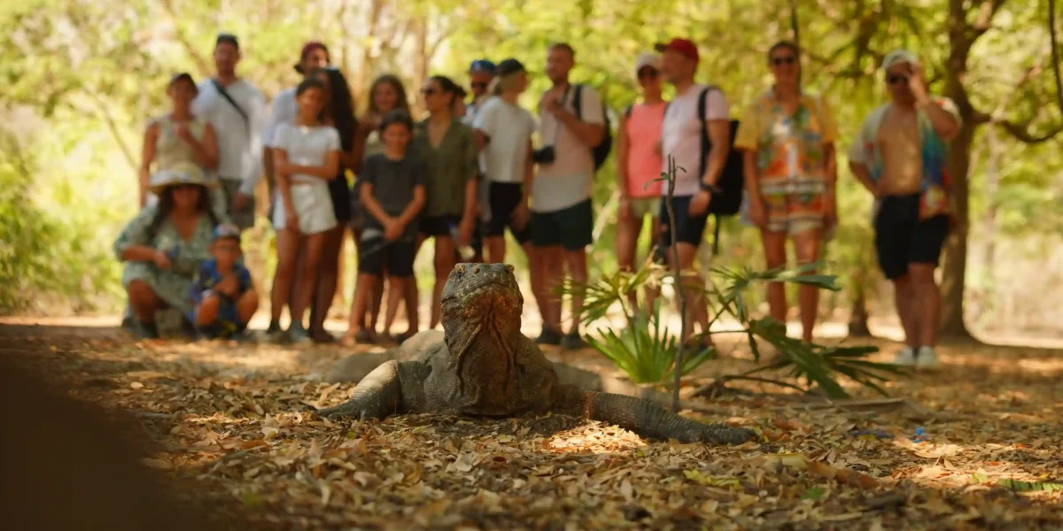 Komodowaran  Komodo-Insel-Tour | Komodo Luxury