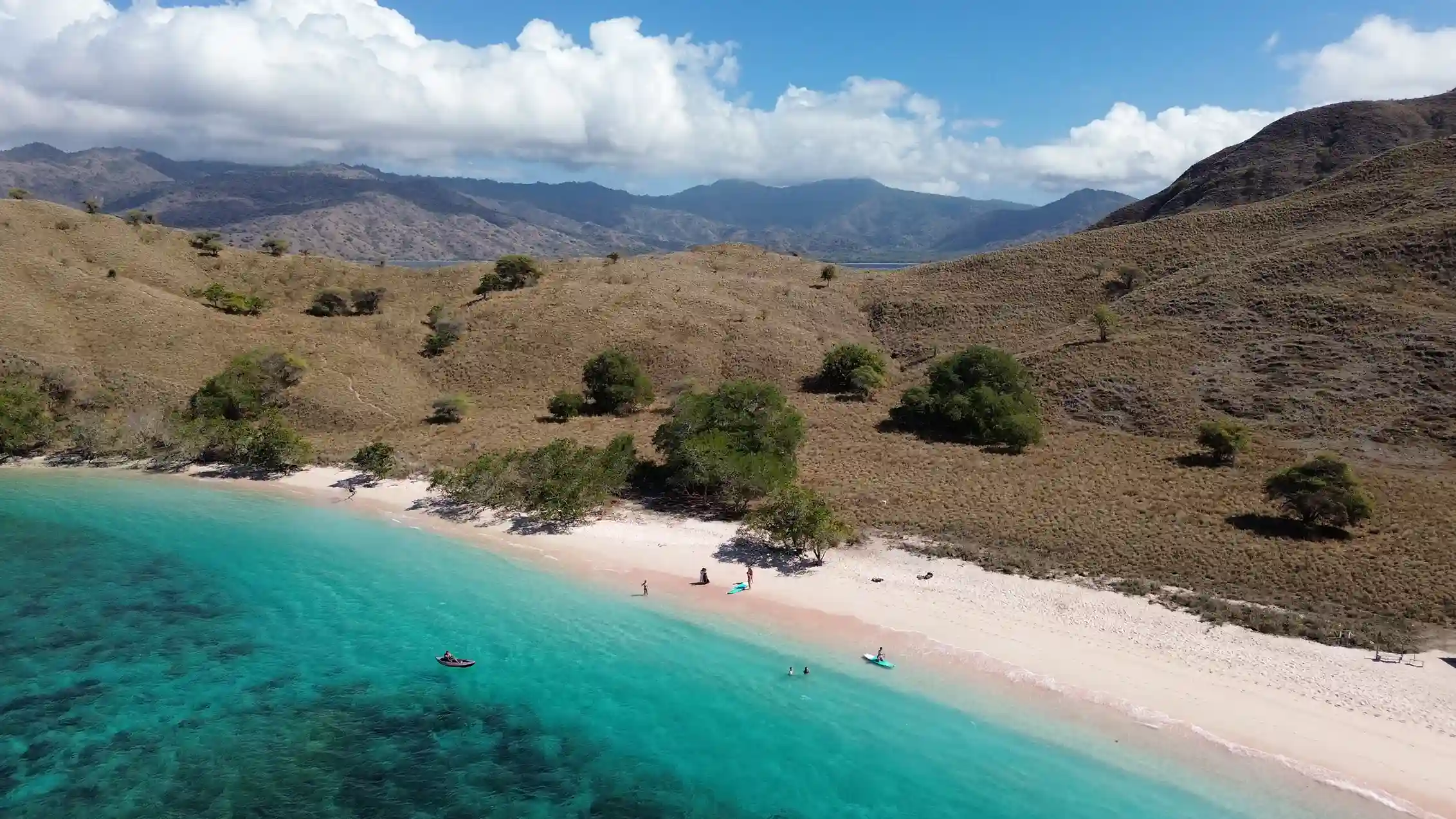 Roze Strand  Nationaal Park Komodo  Komodo eiland  Komodo-tour