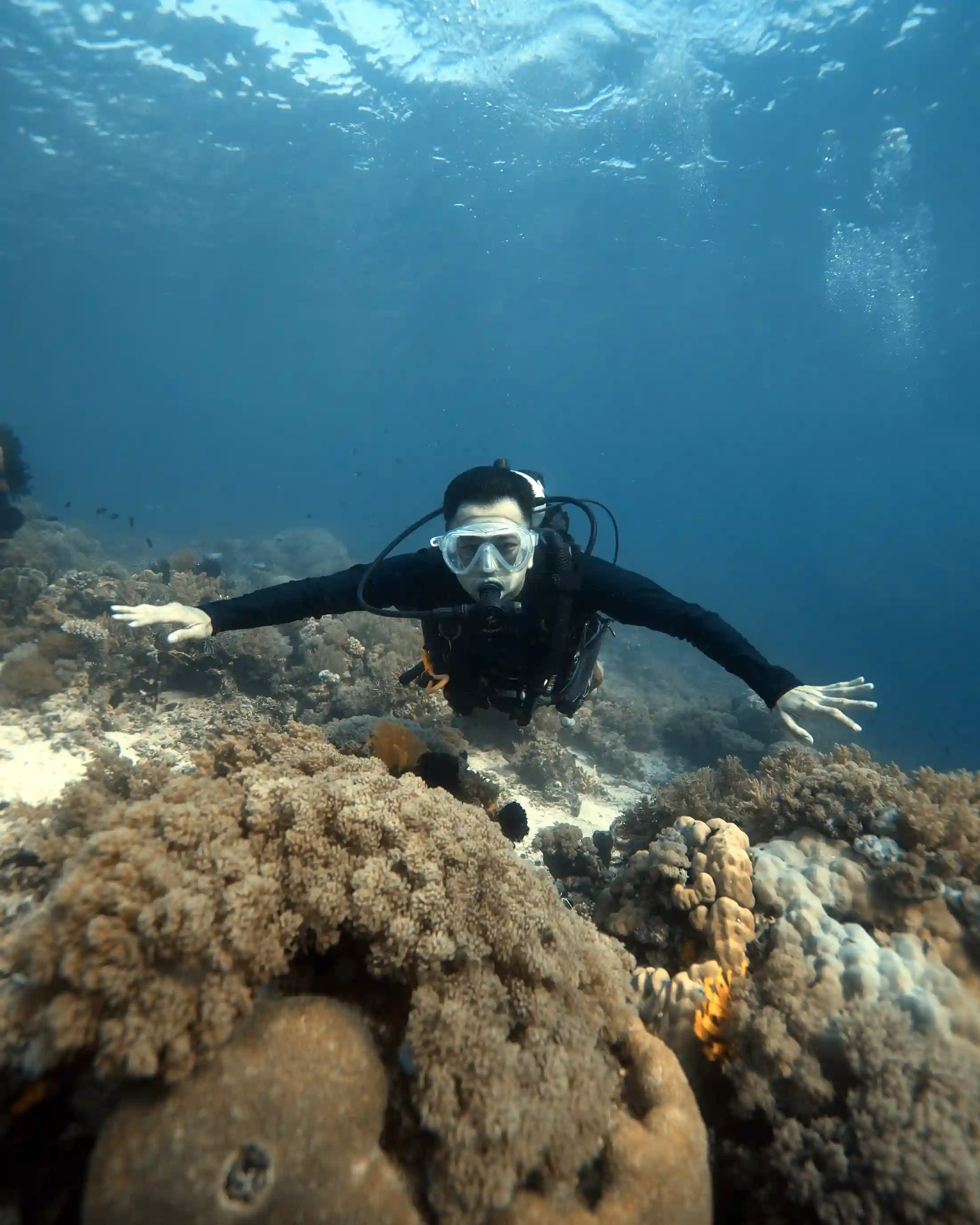 Snorkeling a Siaba-szigeten | Komodo Nemzeti Park | Komodo Luxury | Raffi Ahmad