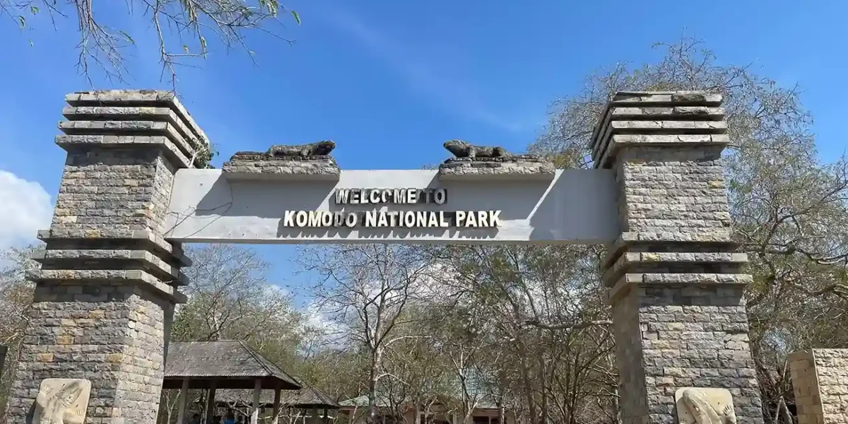Komodo Nationalpark | Komodo Luxury