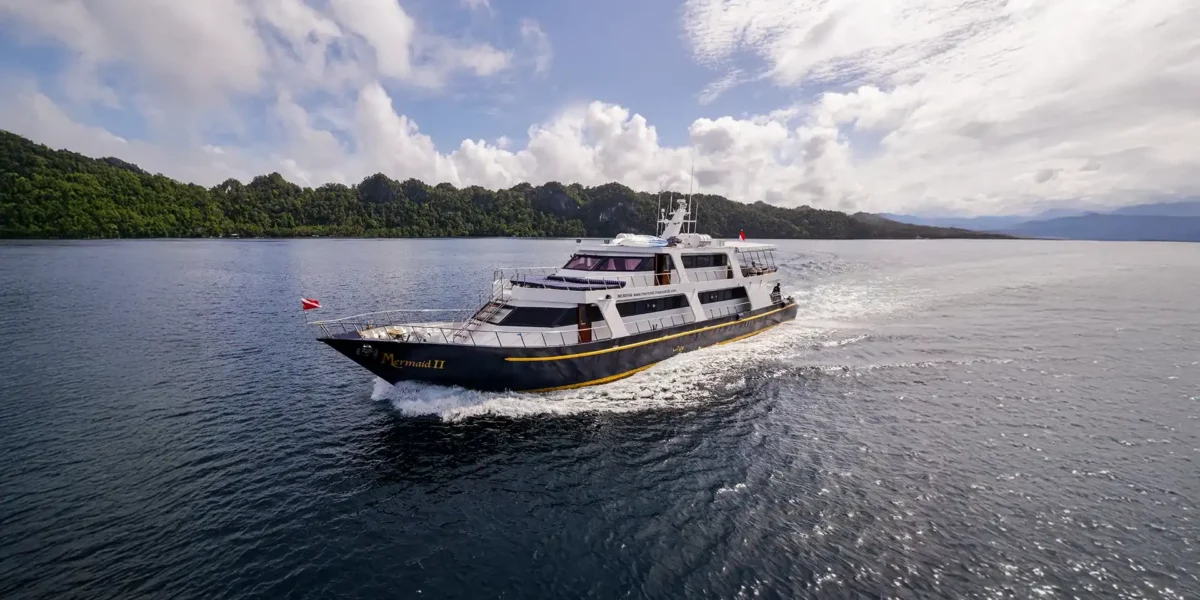 Mermaid II Tauchsafari Komodo Luxury