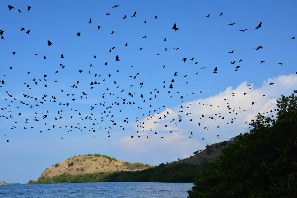 Riung - Komodo Luxury