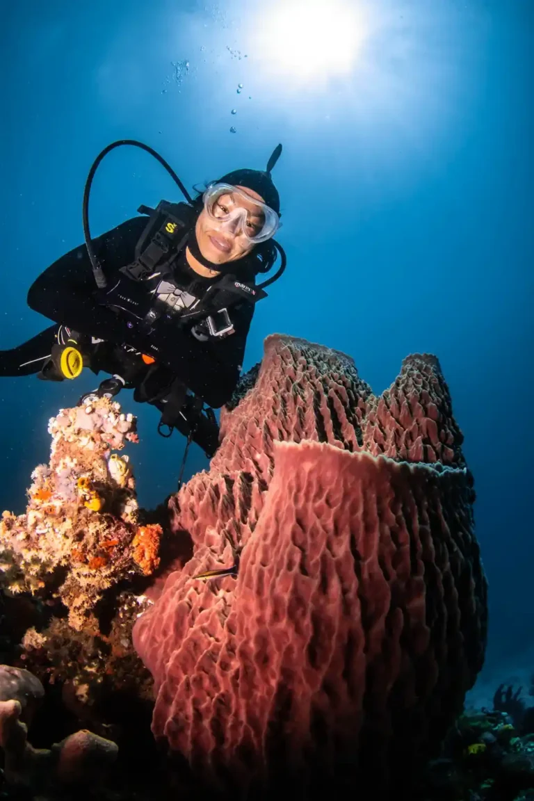 Fendas vulcânicas oceânicas