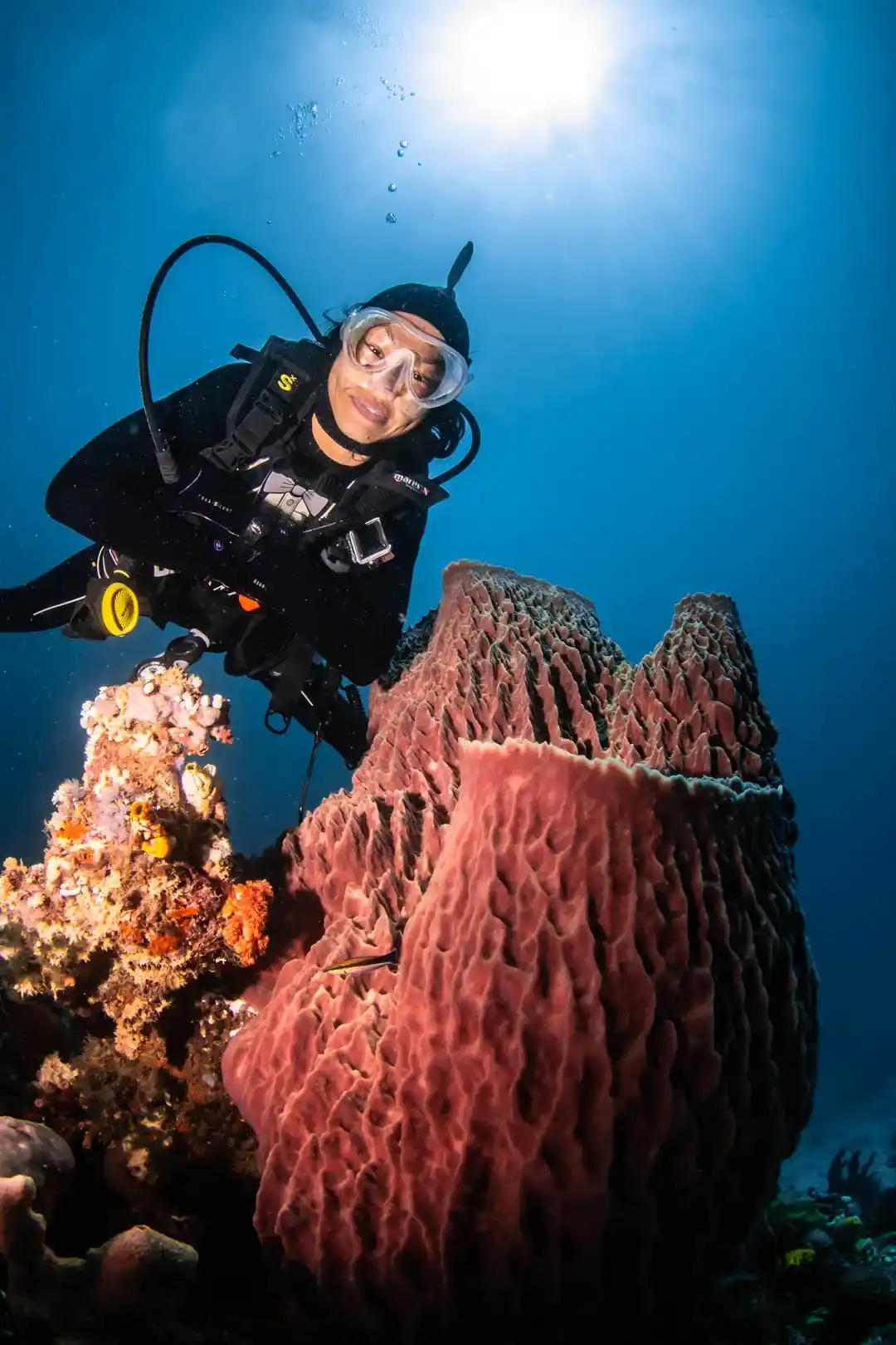 Volcanic Ocean Vents | Alor Maumere | Komodo Luxury