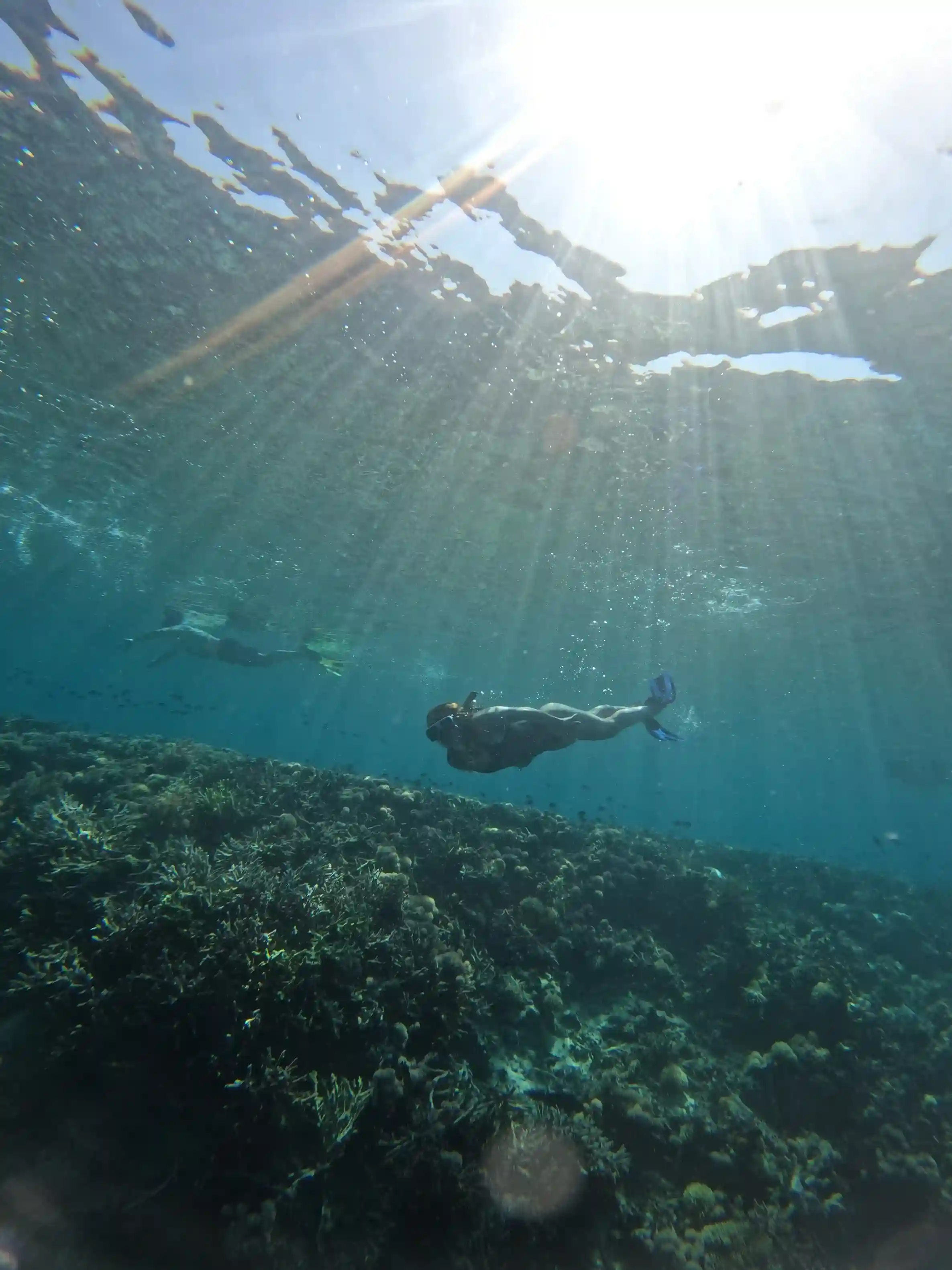 snorkel Run Island snorkel Komodo Luxury