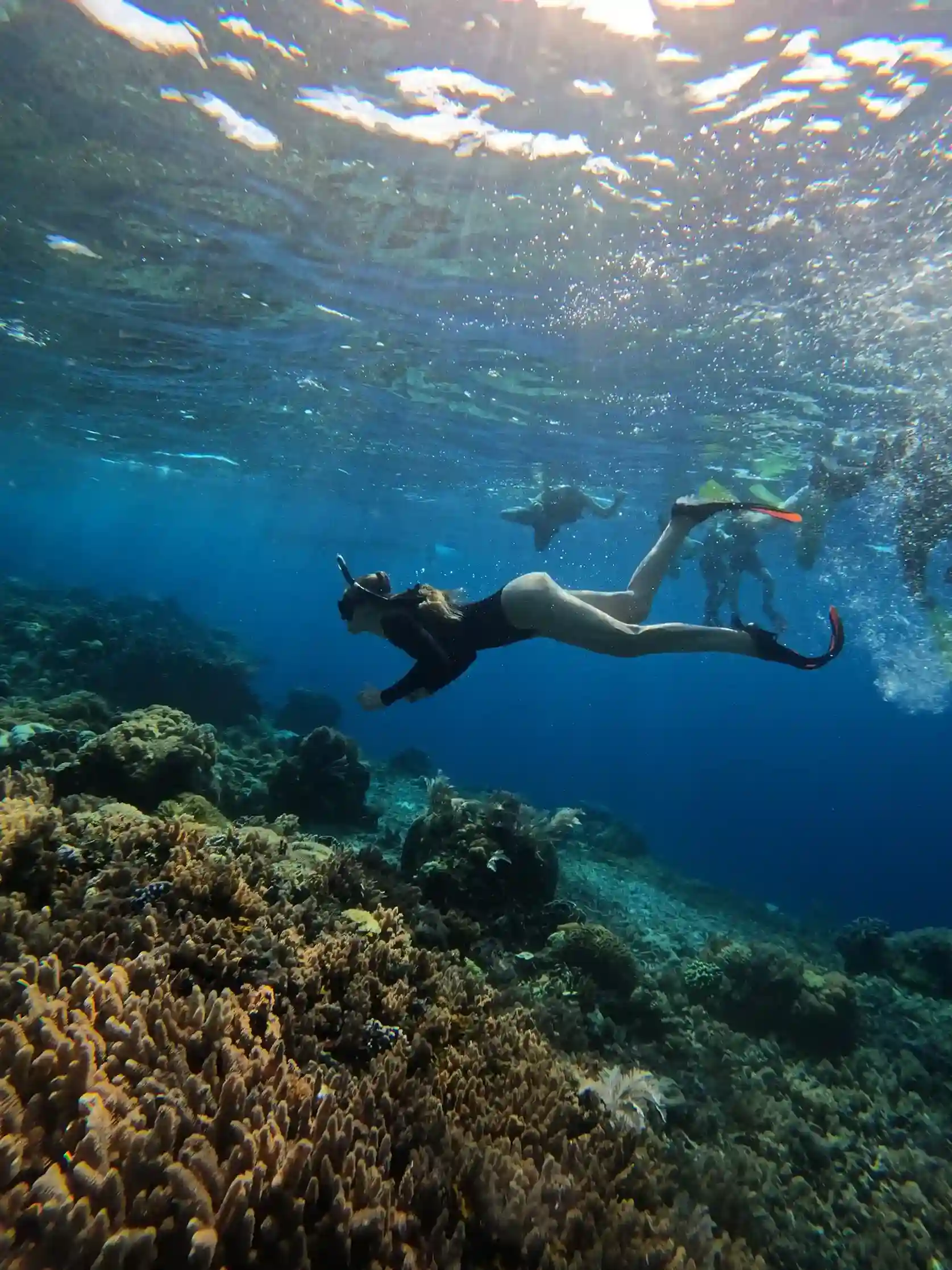Snorkeling