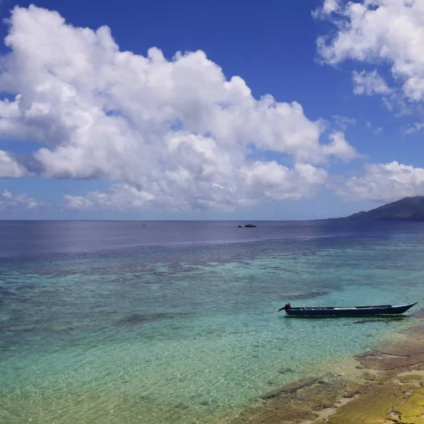 Ambon