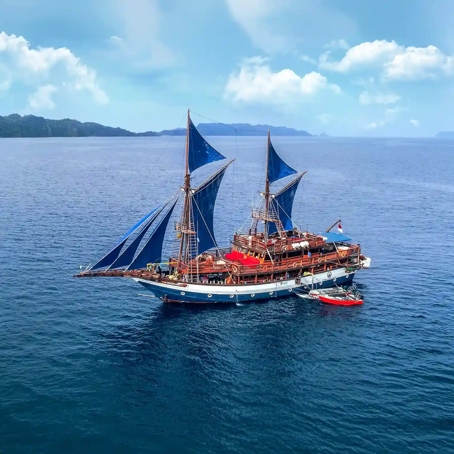 Sea Safari 8