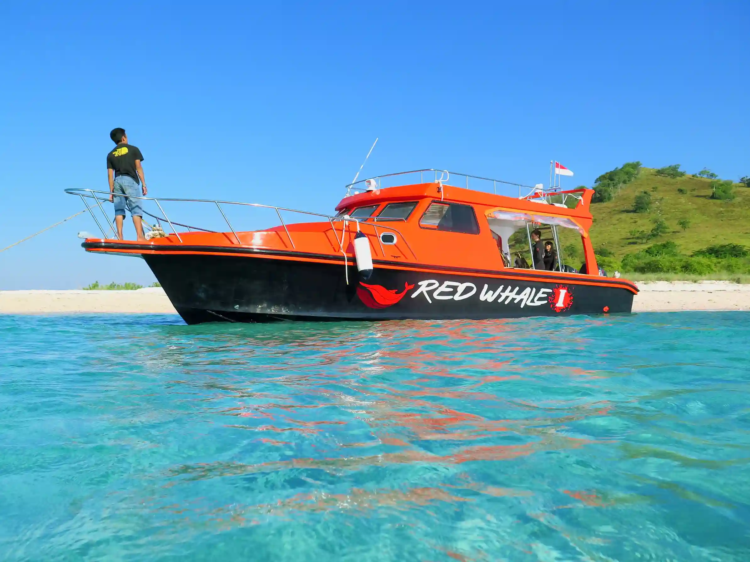 Red Whale I